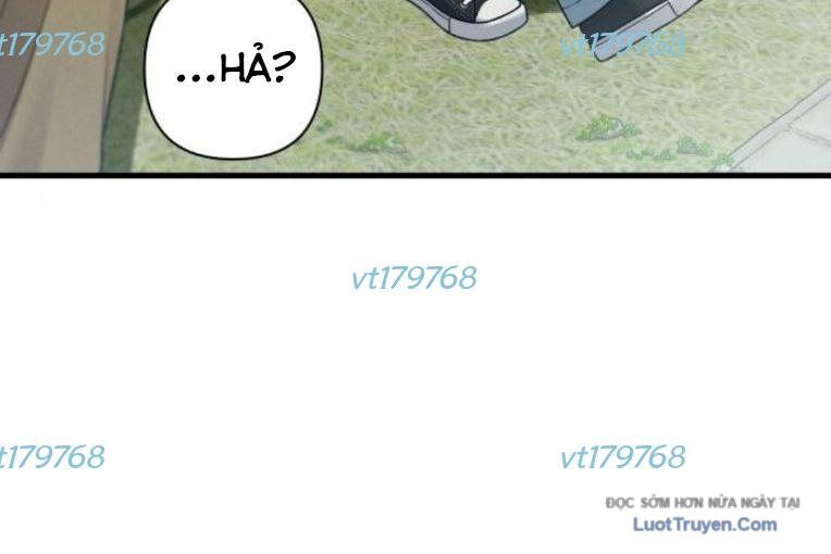 page_229