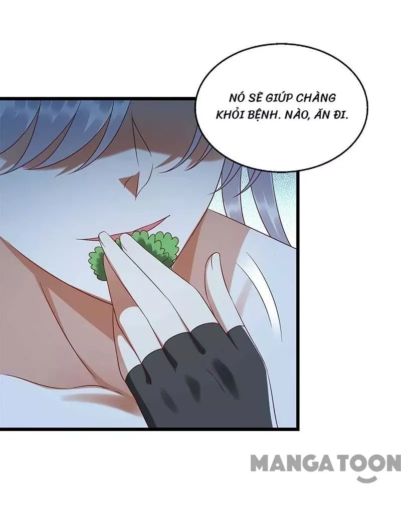 page_13