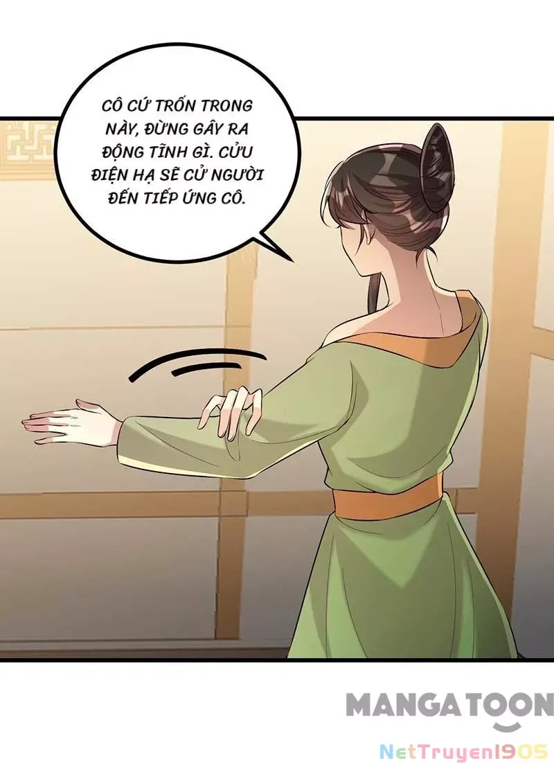 page_5