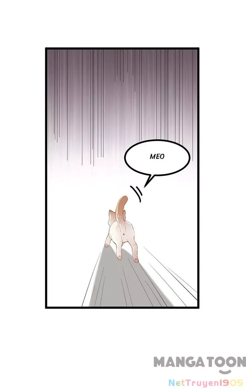page_22