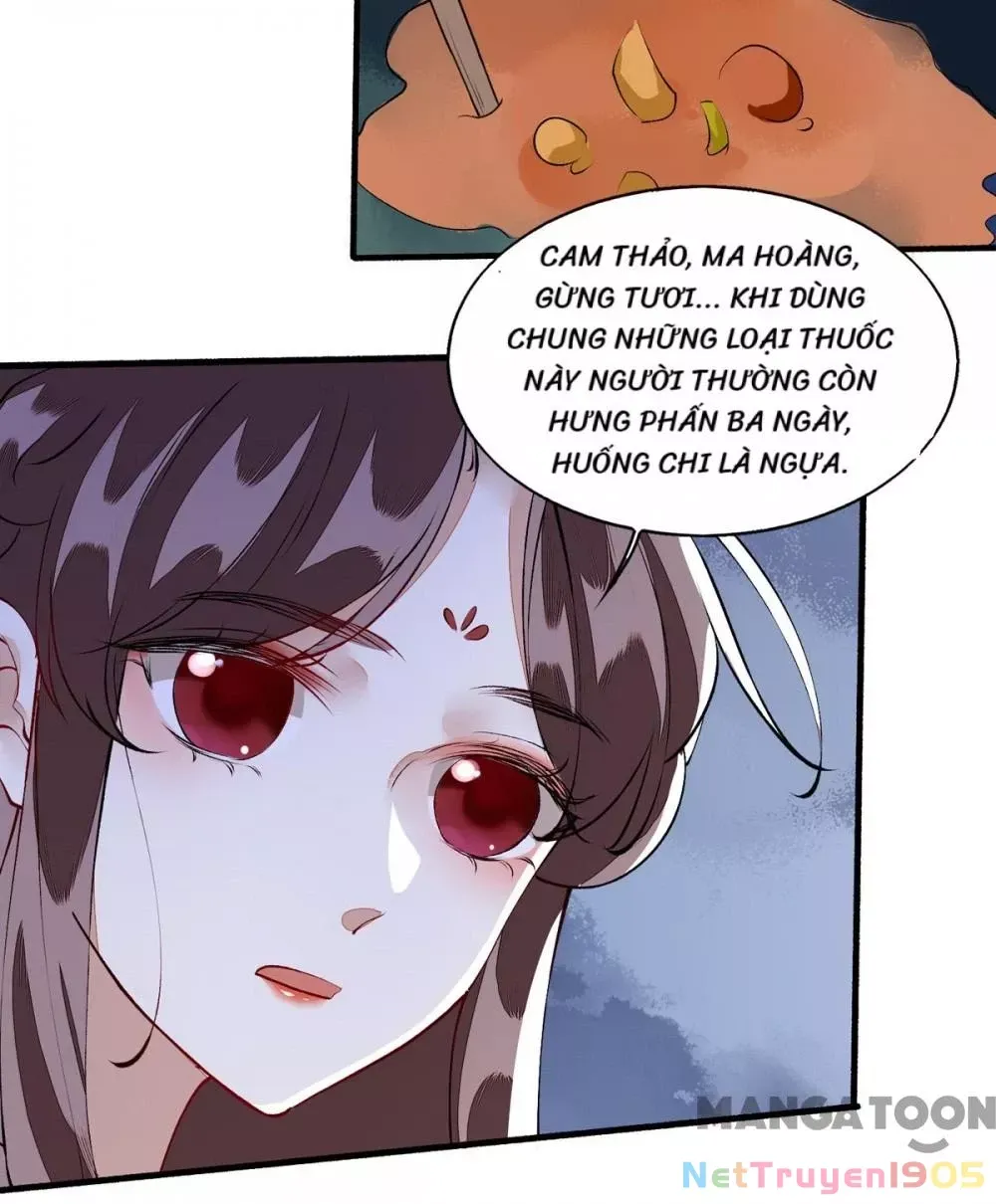 page_29
