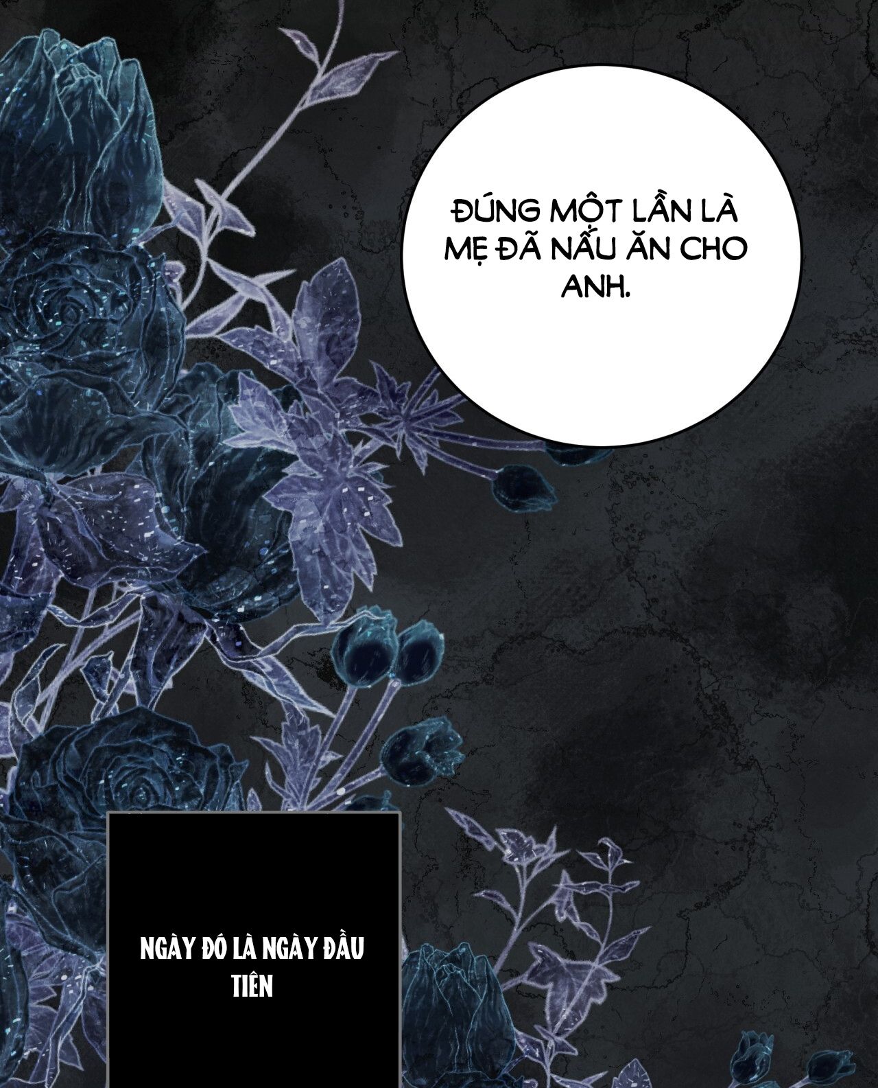 page_24
