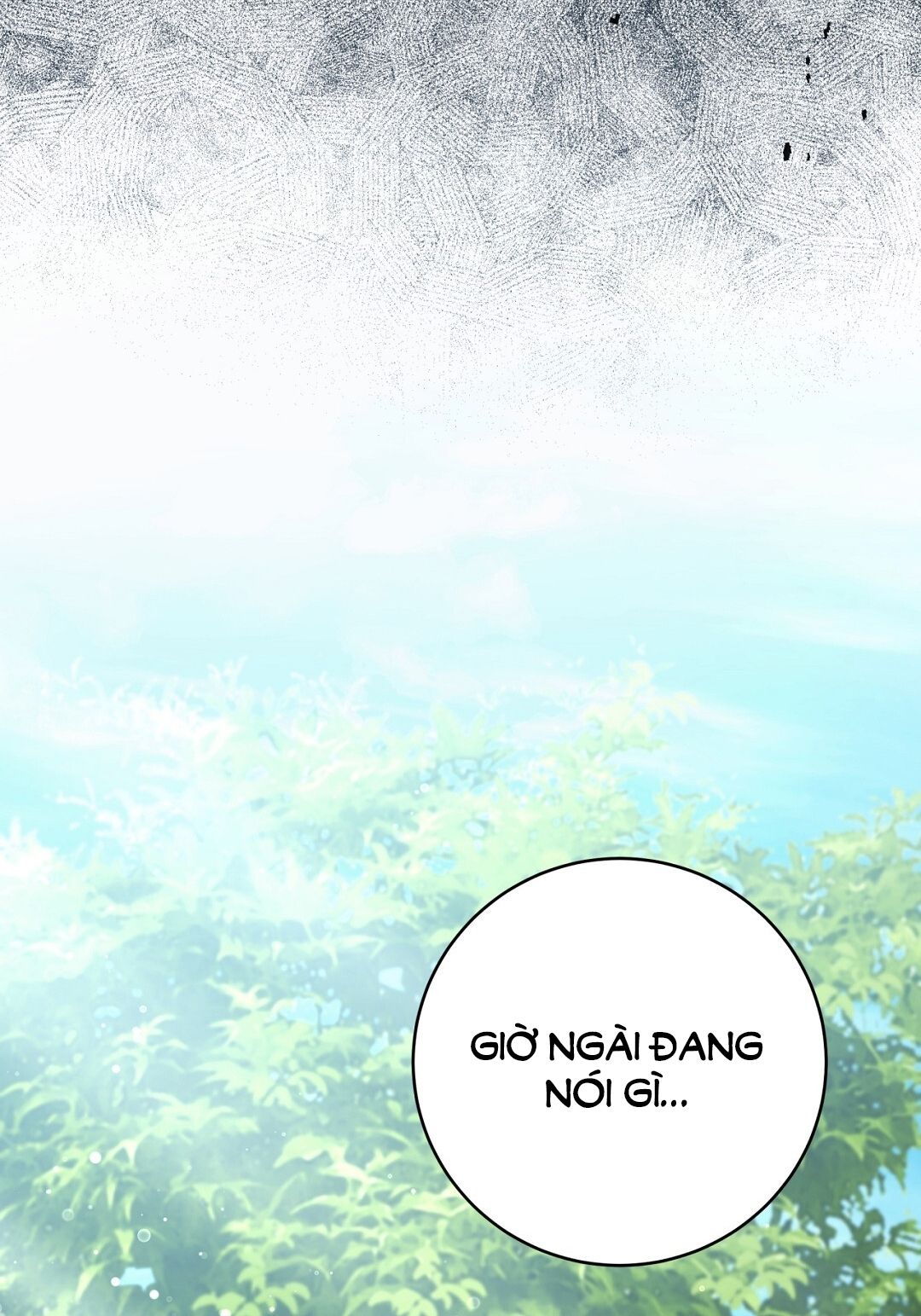 page_29
