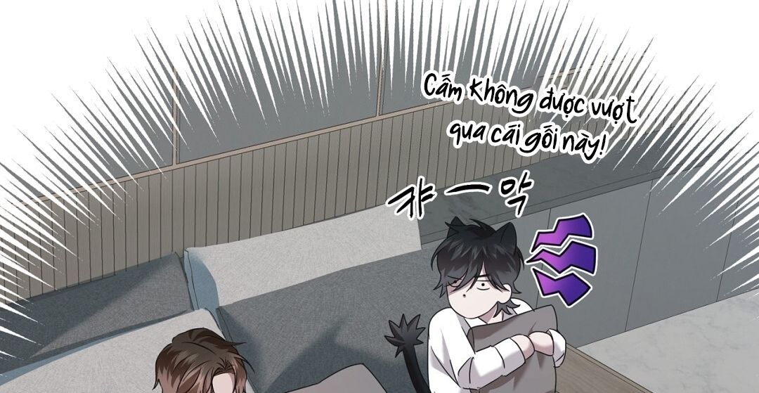 page_66