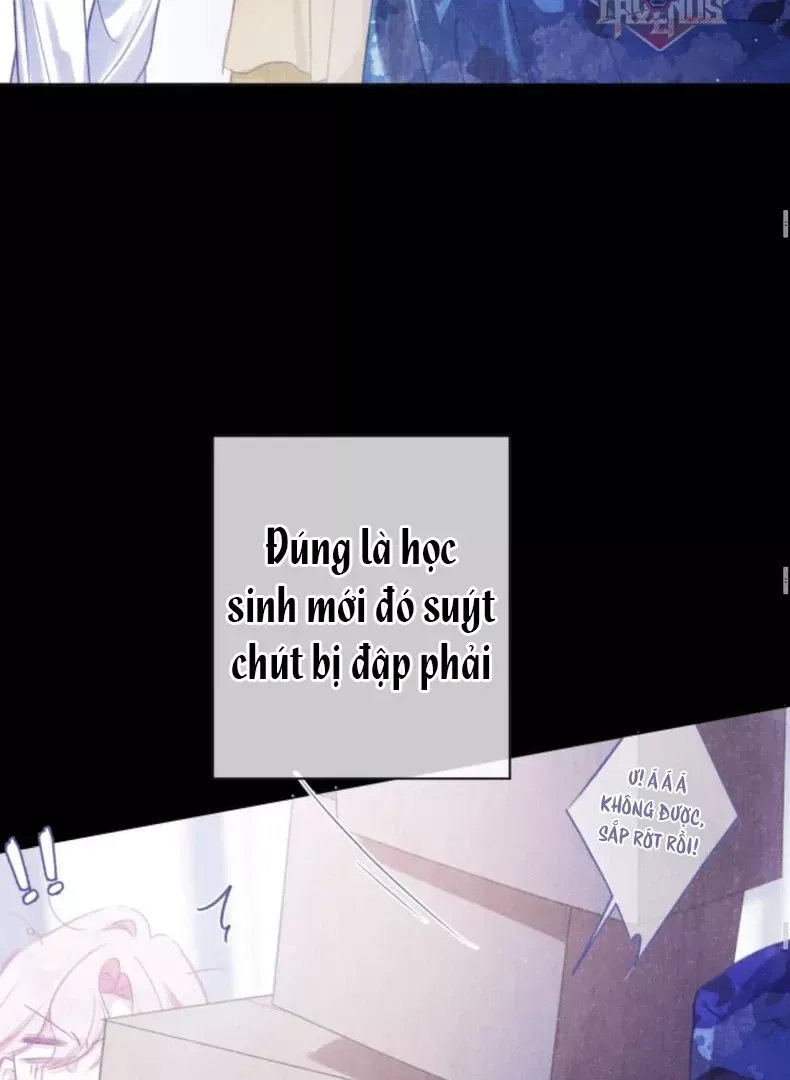 page_7