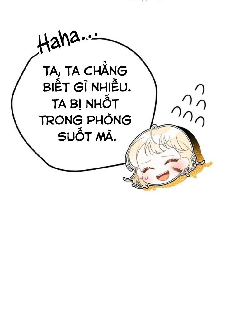 page_29