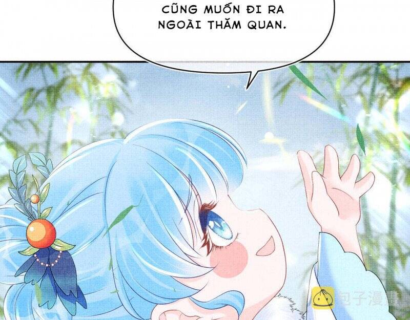 page_33