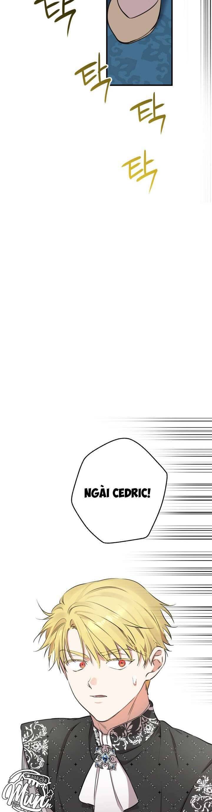 page_21
