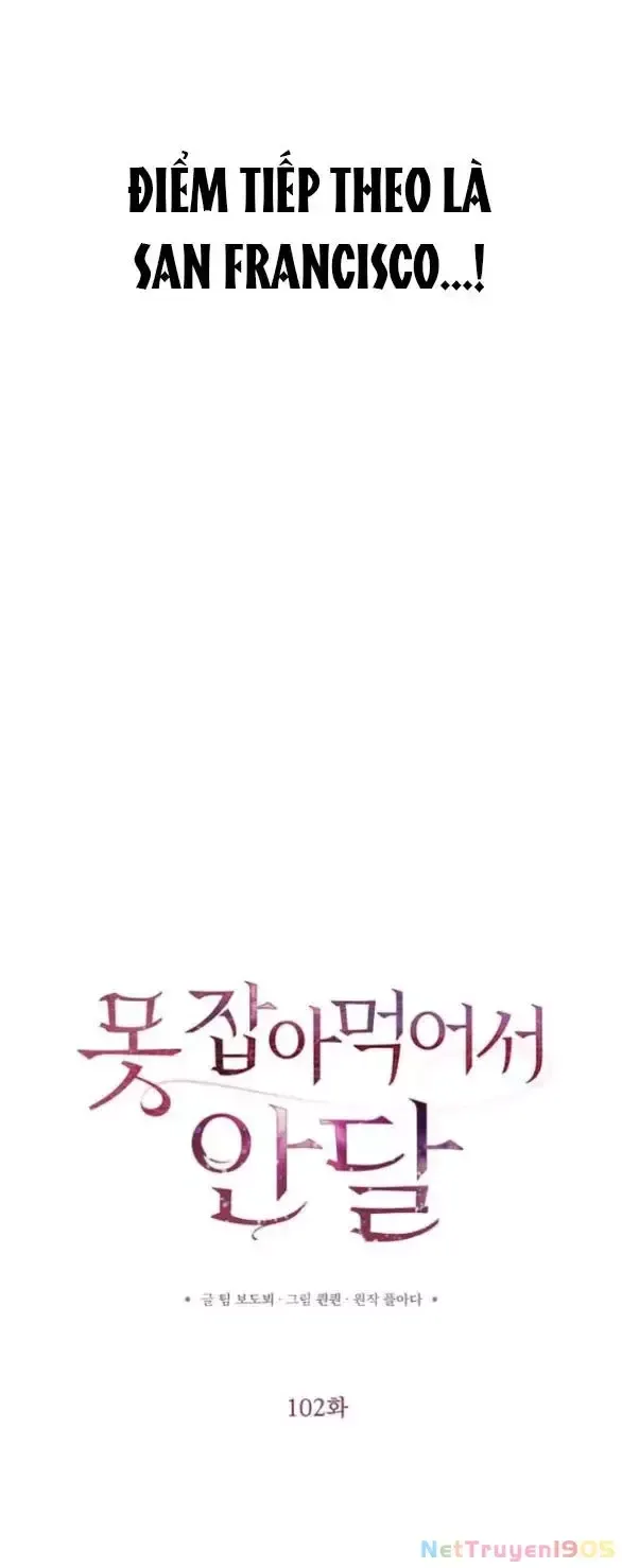 page_29