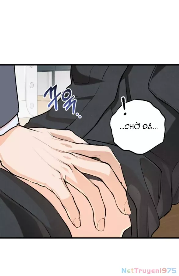 page_19