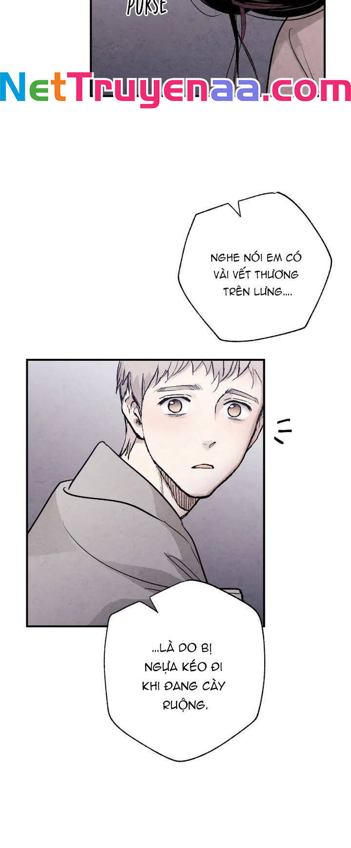 page_29