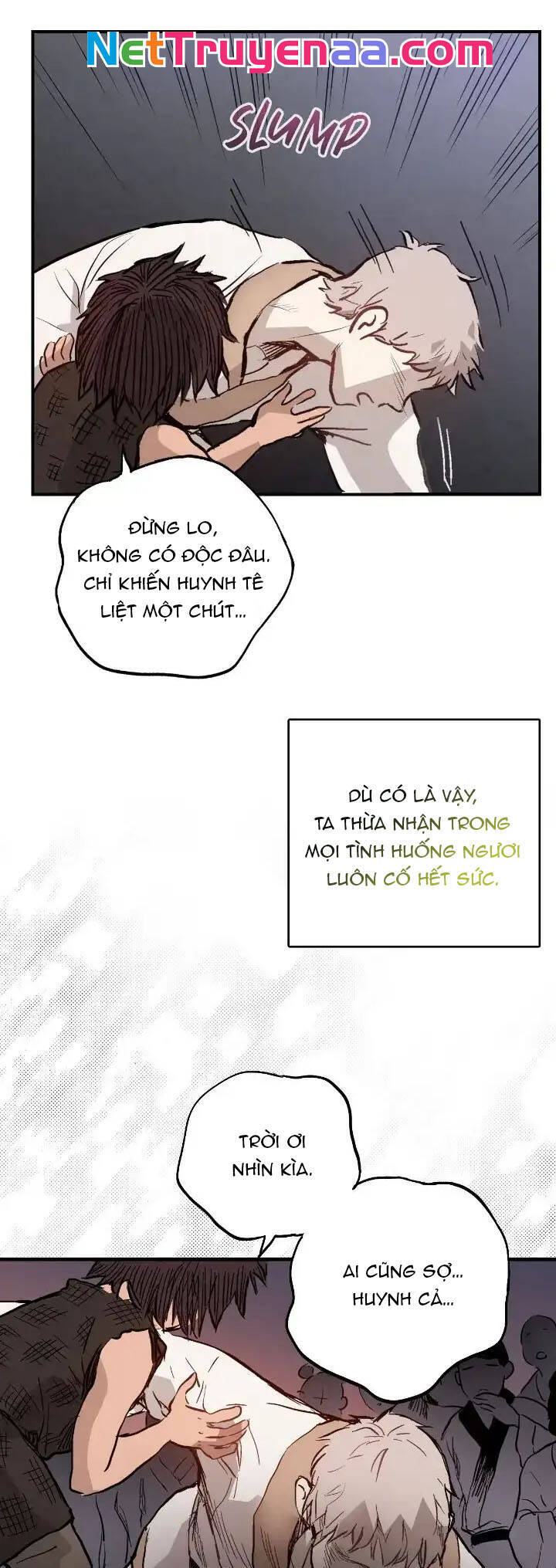 page_51