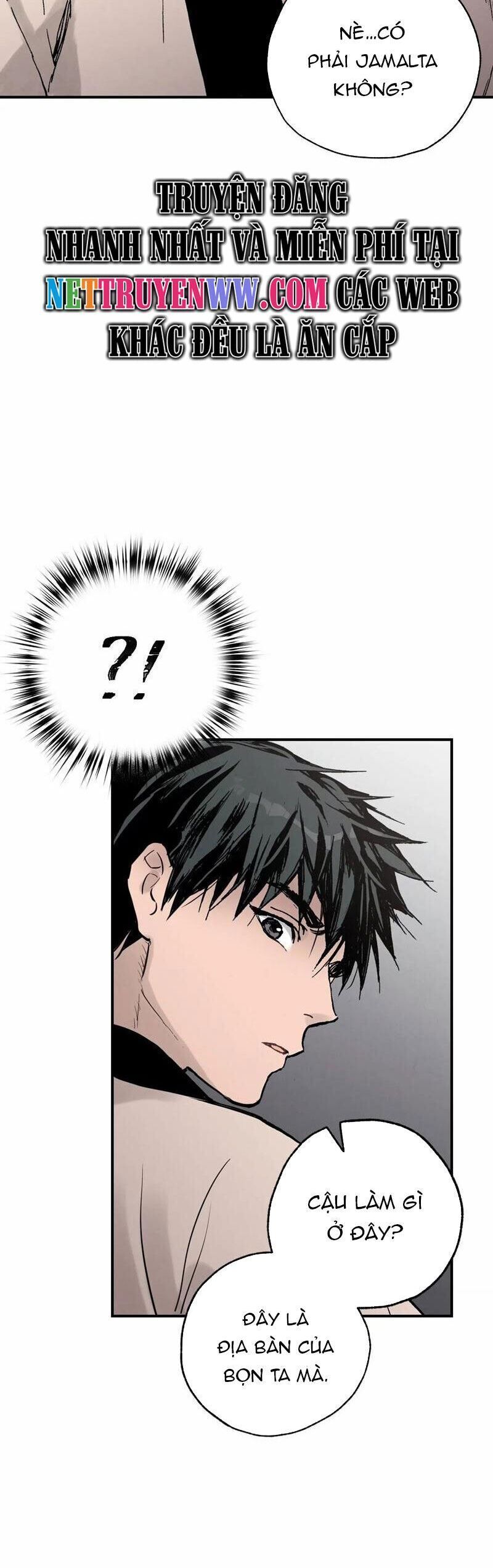 page_16