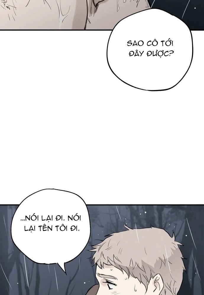 page_29