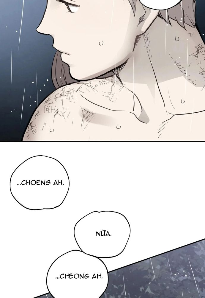 page_31