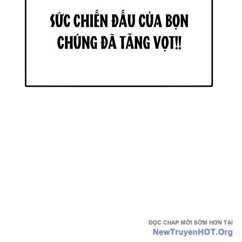page_245