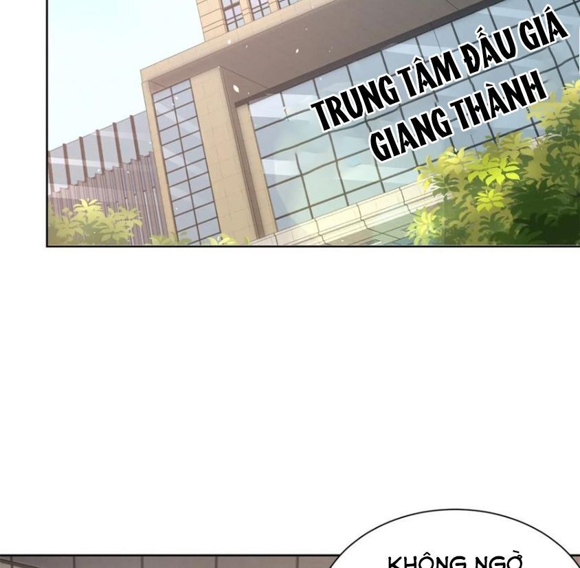 page_31