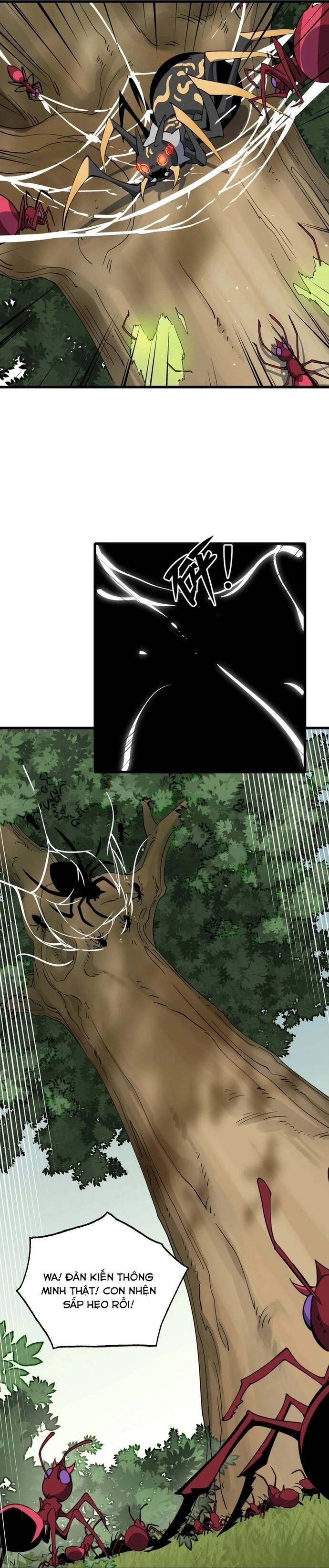page_24
