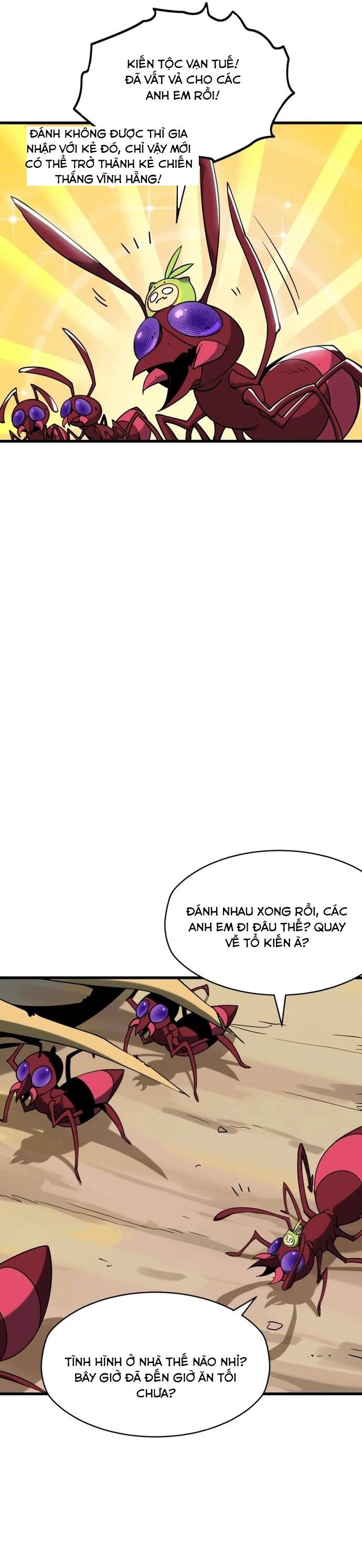 page_15