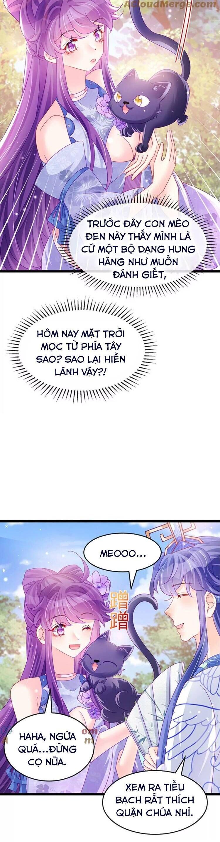 page_8