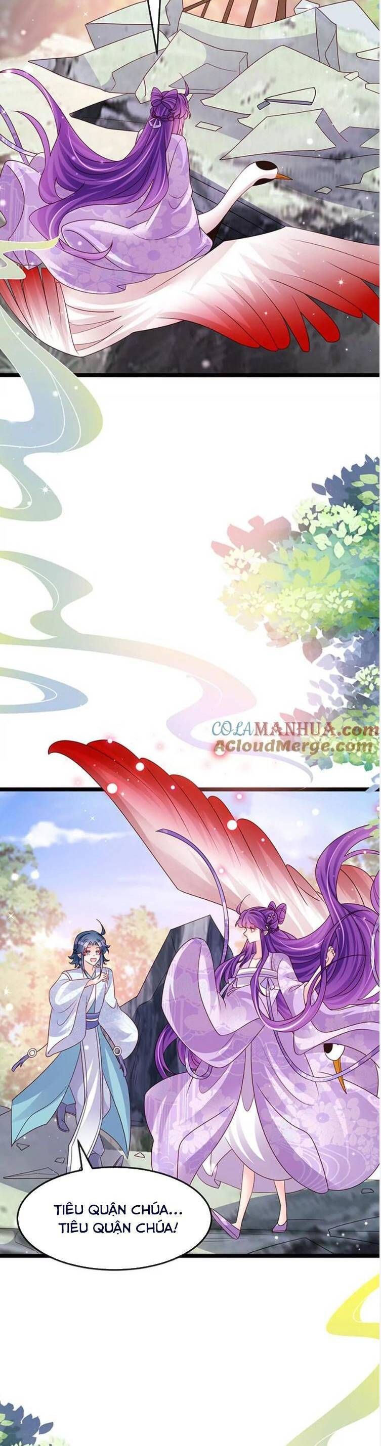 page_6