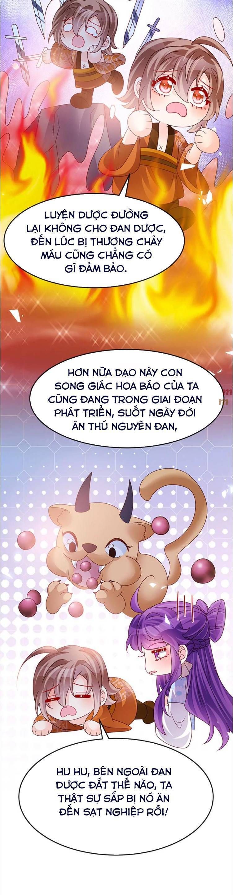 page_17