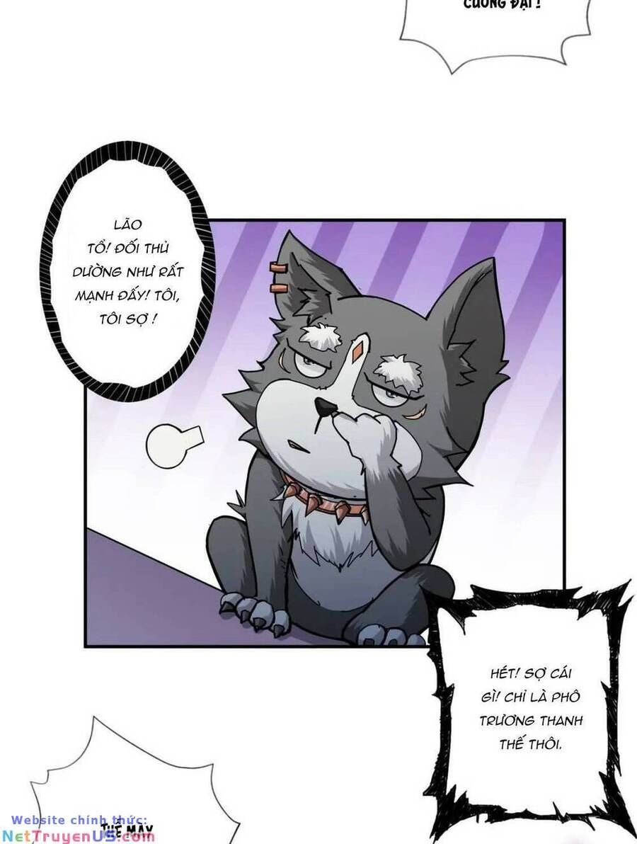 page_13