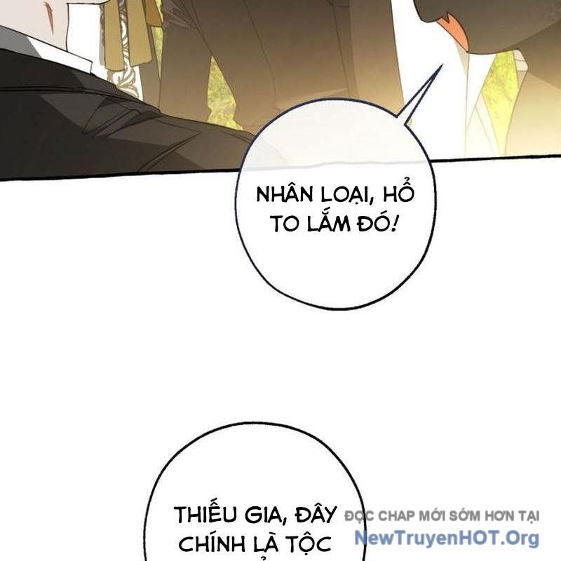 page_96