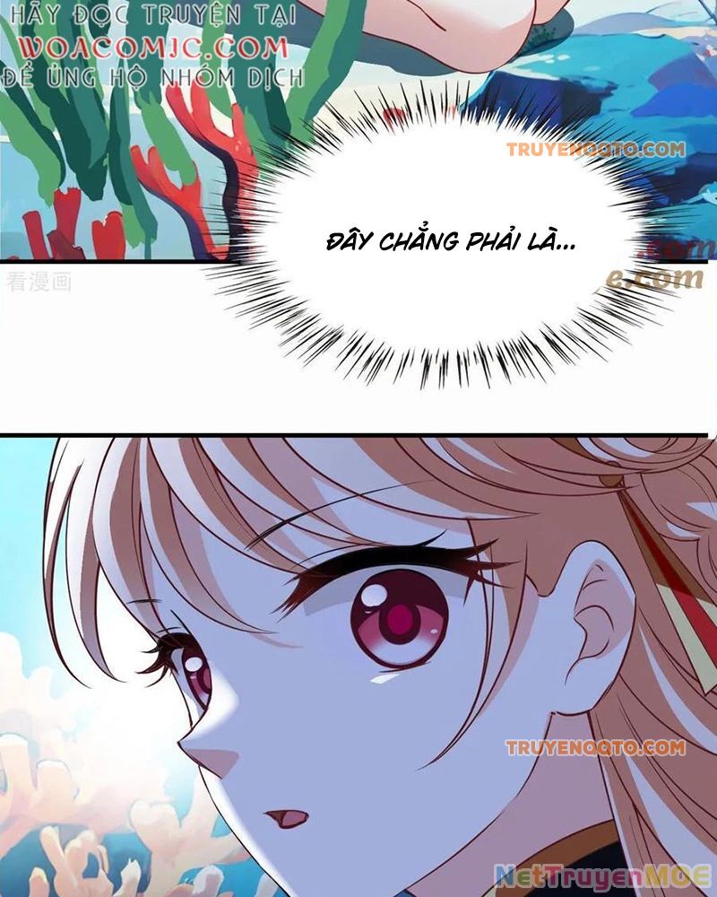 page_24