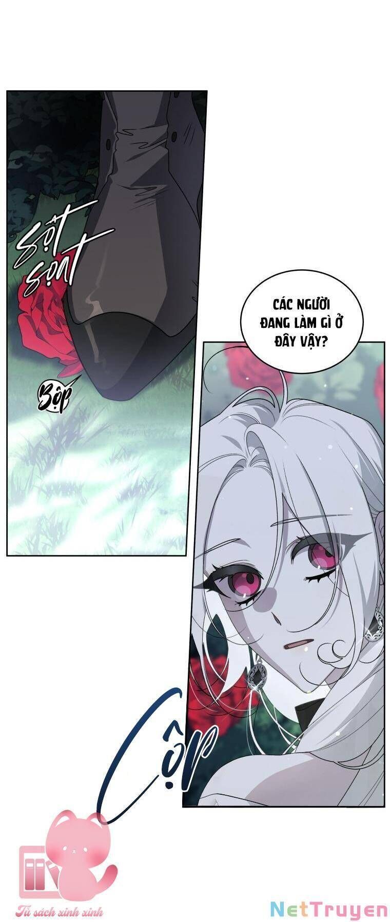 page_5