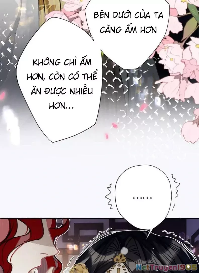 page_41