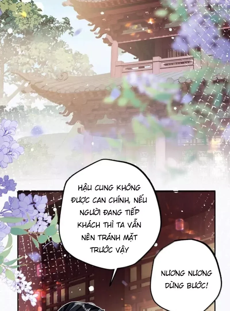 page_31