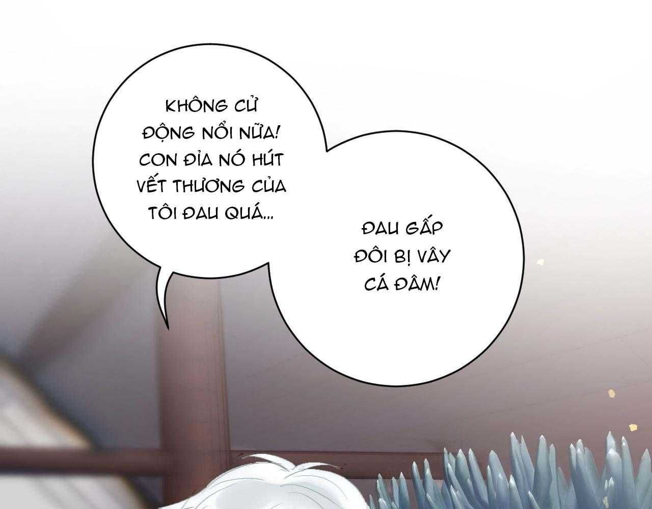 page_29