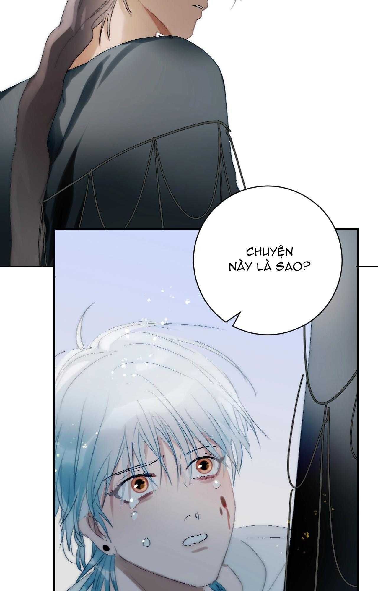 page_29