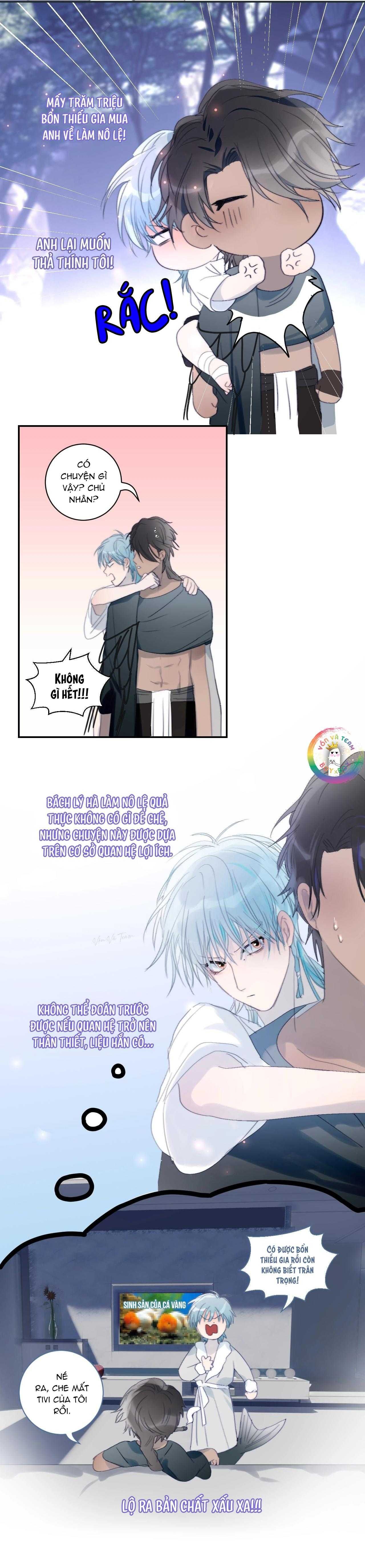 page_6