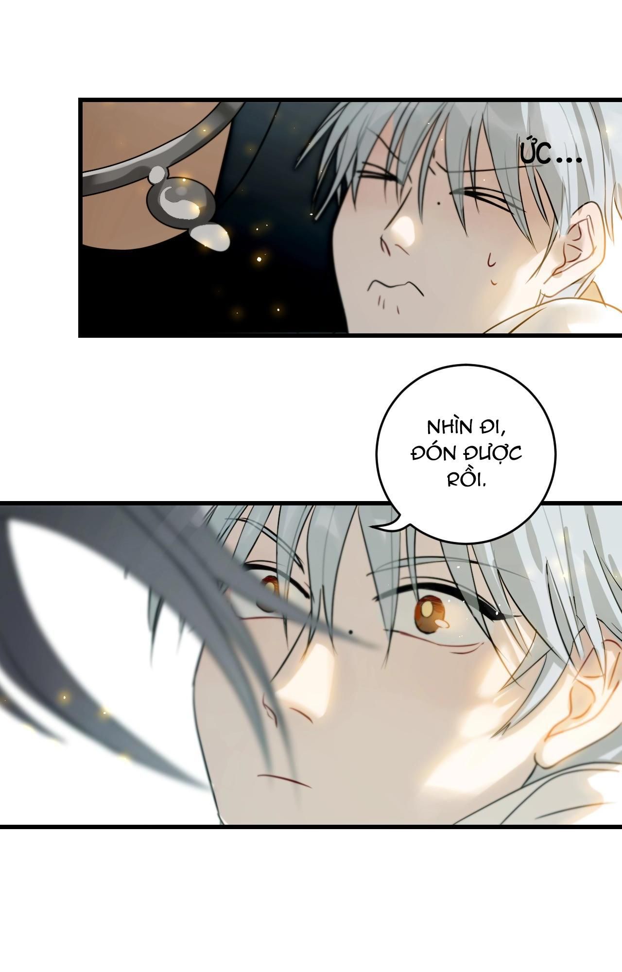 page_51