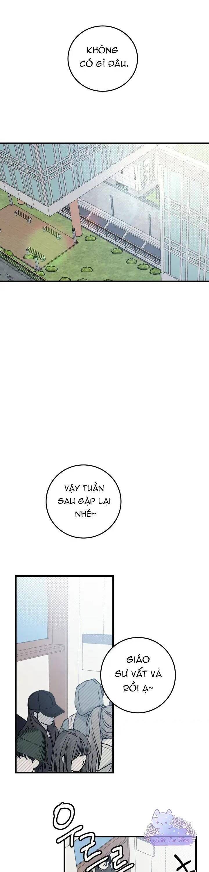 page_19