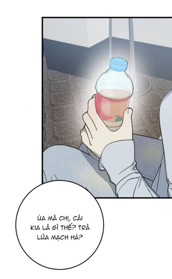 page_29