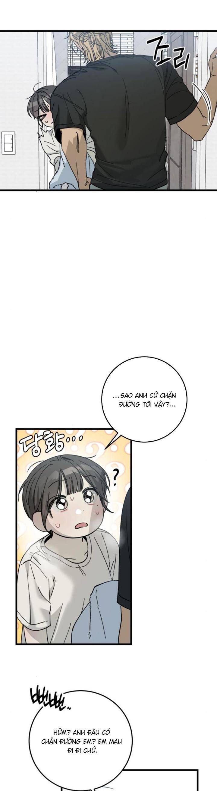 page_37