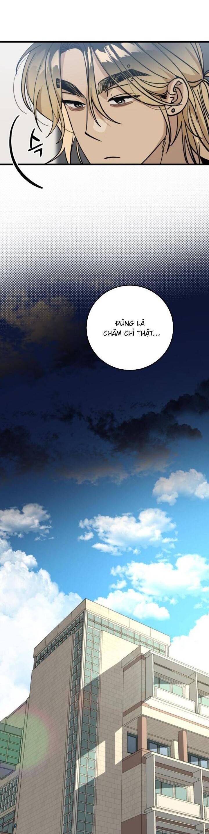 page_17