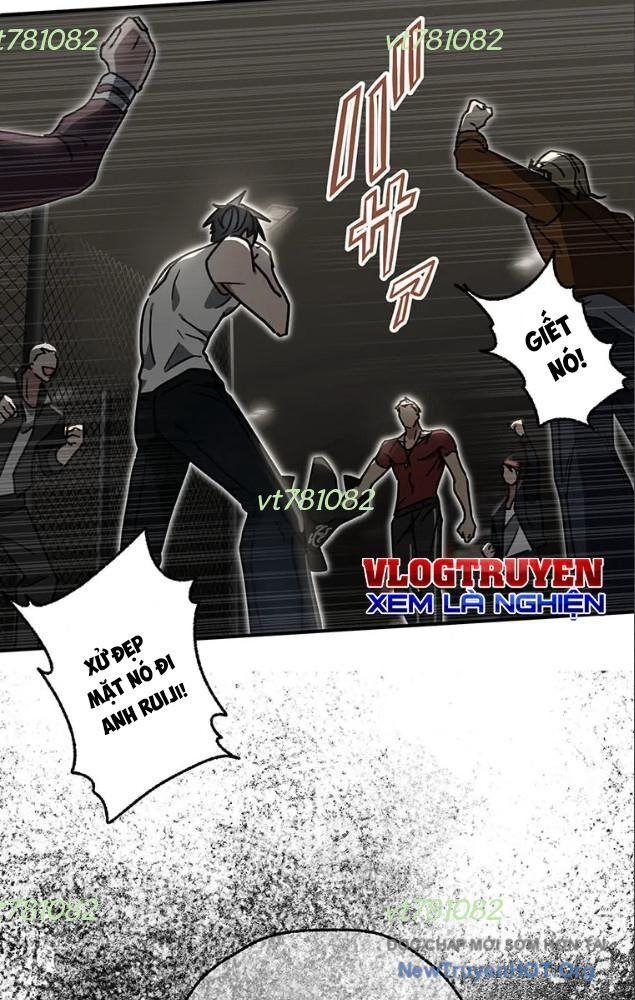 page_43
