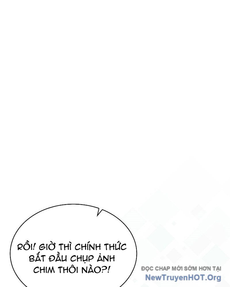 page_37