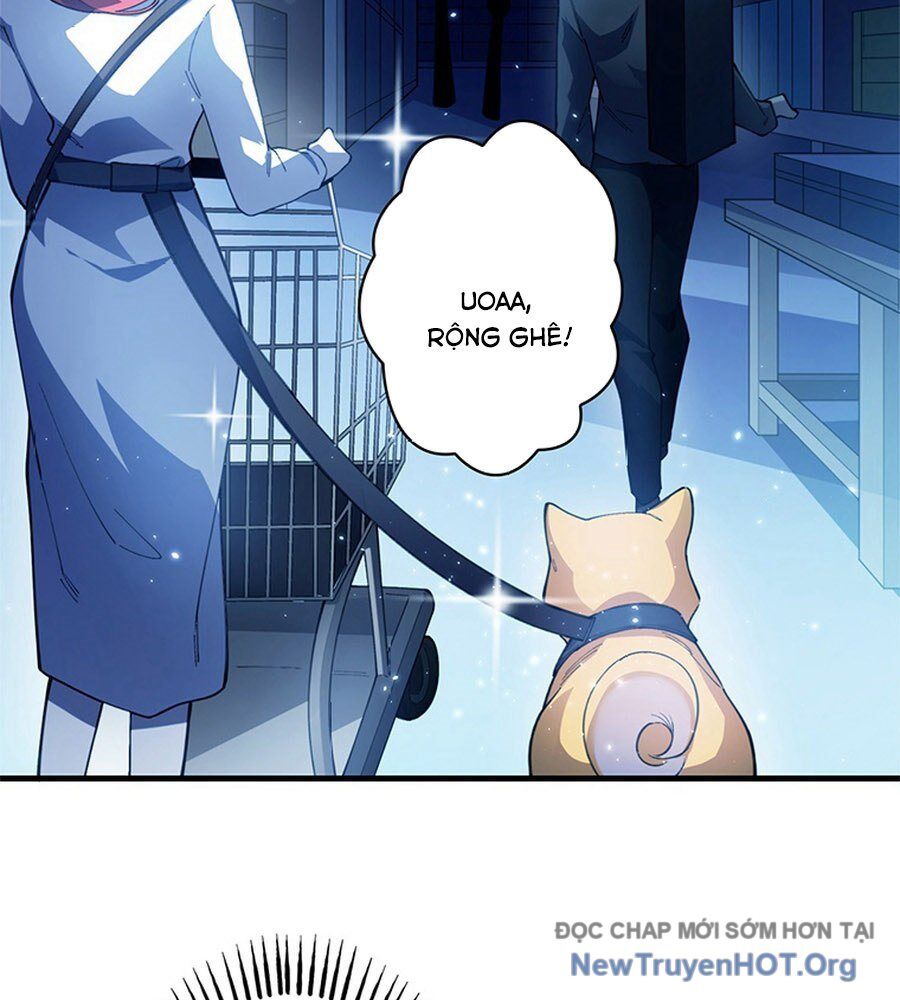 page_61
