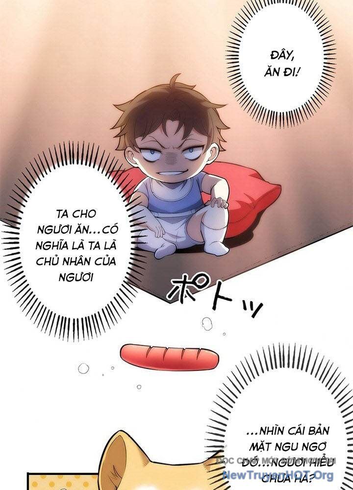 page_42