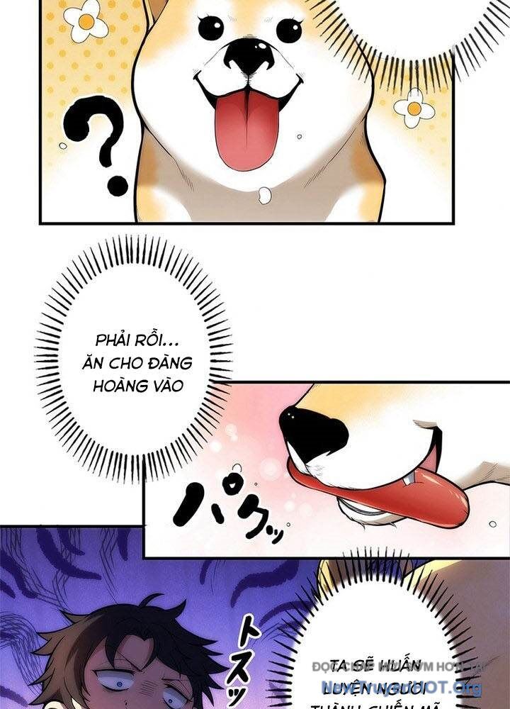 page_43