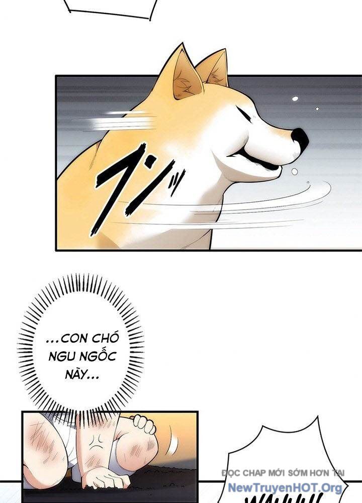 page_46