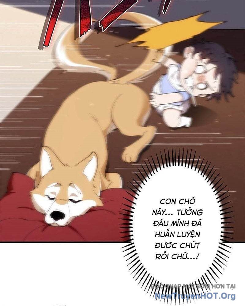page_29