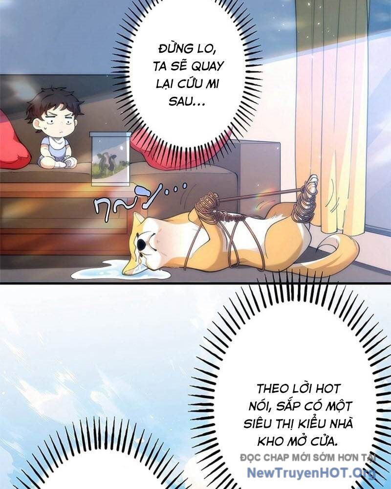 page_19