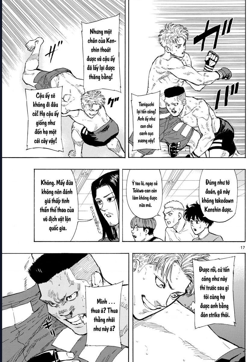 page_17