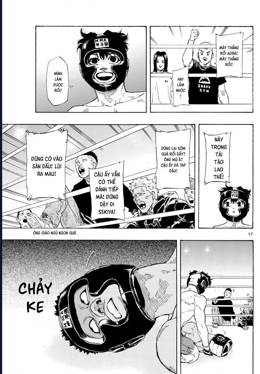 page_17